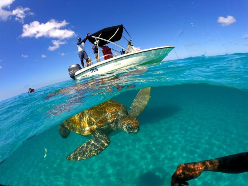Caribbean diving holidays