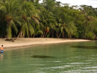 Carenero Island, Bocas del Toro, Panama