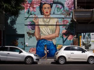 Buenos Aires, wall street art, Frida Kahlo