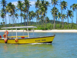 Brazil, Carneiros Beach