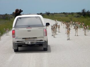 Safari self drive holidays, Namibia