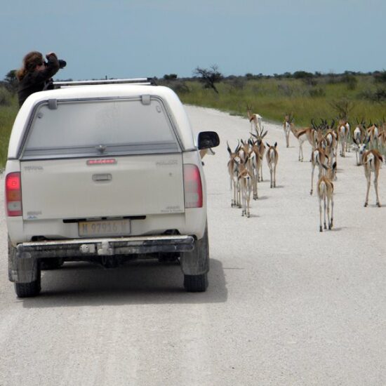 Safari self drive holidays, Namibia