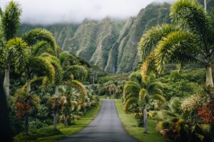 Oahu Island, Hawaii