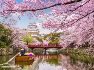 Japan, park in spring