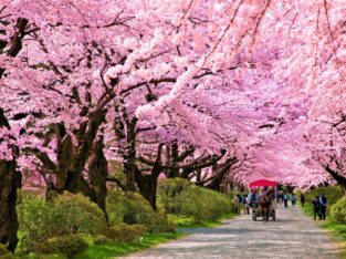 Japan, Kitakami Tenshochi Park