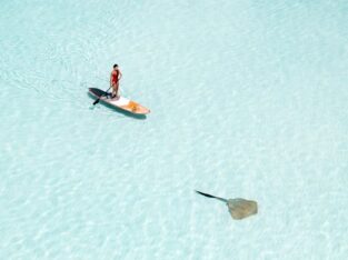 Maldives, paddle boarding with manta rays