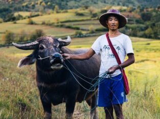 Local farmer, Myanmar