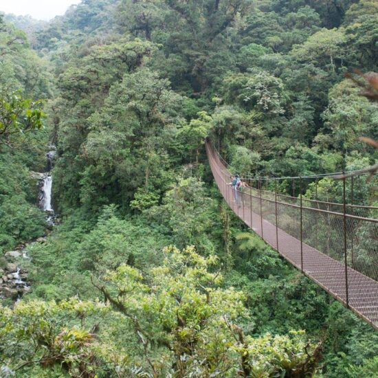 Panama, hanging bridges