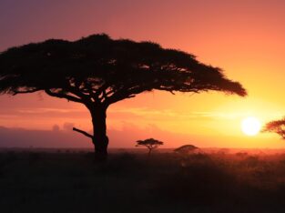 Kruger National Park, South Africa