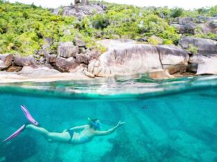 Snorkelling in Seychelles