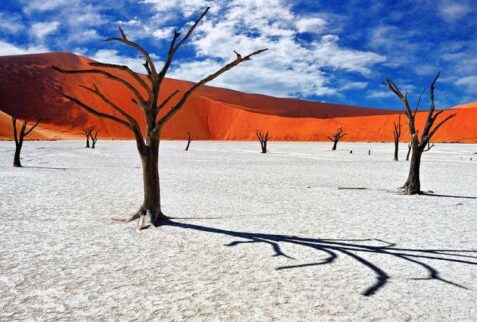 Namibia, Sossusvlei desert