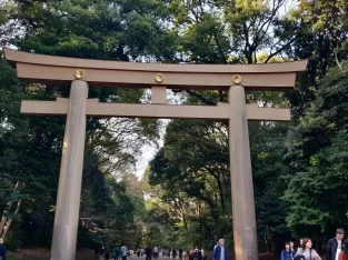 Grand wooden Torii gate leading into the forested path at Meiji Jingu Shrine in Tokyo, Japan.