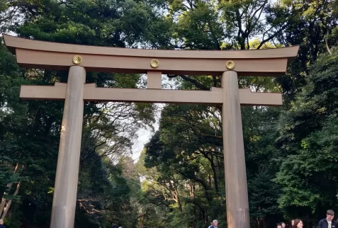 Grand wooden Torii gate leading into the forested path at Meiji Jingu Shrine in Tokyo, Japan.
