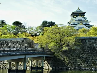 Osaka Castle seen from the moat, surrounded by lush green trees, part of an Osaka city itinerary