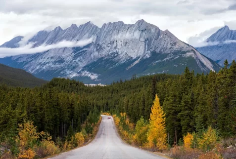 Scenic highway surrounded by autumn forest leading towards the majestic peaks of the Canadian Rockies during a self-drive holiday.
