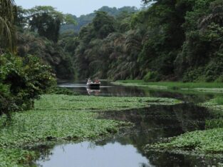 Guided birdwatching tours Mawamba Lodge