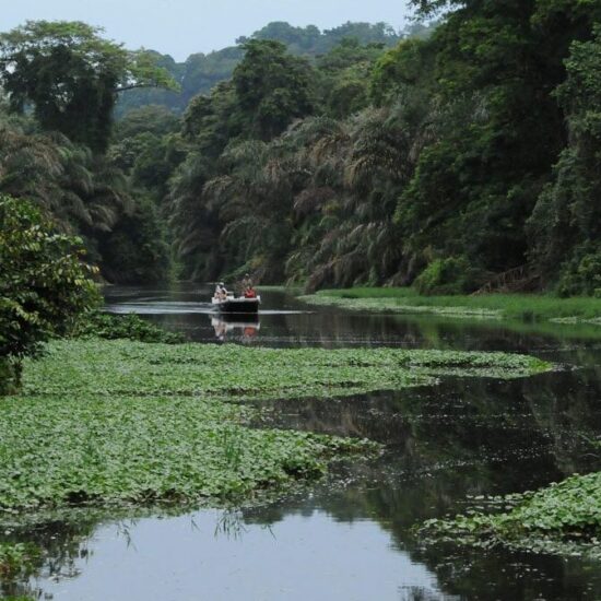 Guided birdwatching tours Mawamba Lodge