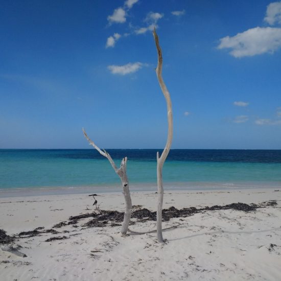 Cuba rare landscapes