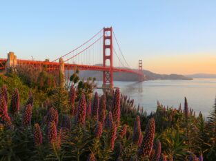 San Fran Golden Gate