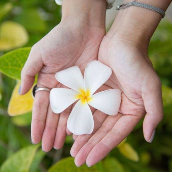 Lei flower Hawaii