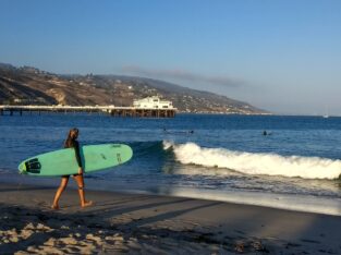 Malibu Los Angeles surfer