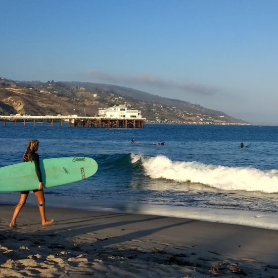 Malibu Los Angeles surfer