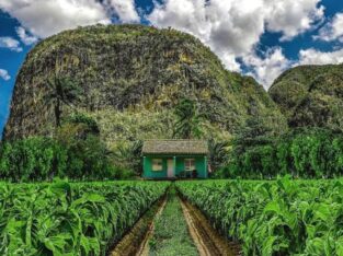 Vinales farm, Cuba